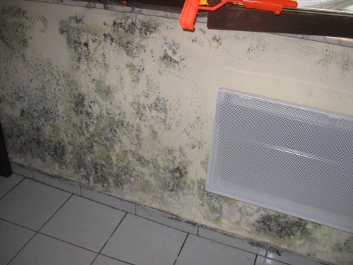 Problème d'humidité par une condensation intérieur sur un mur froid non chauffé